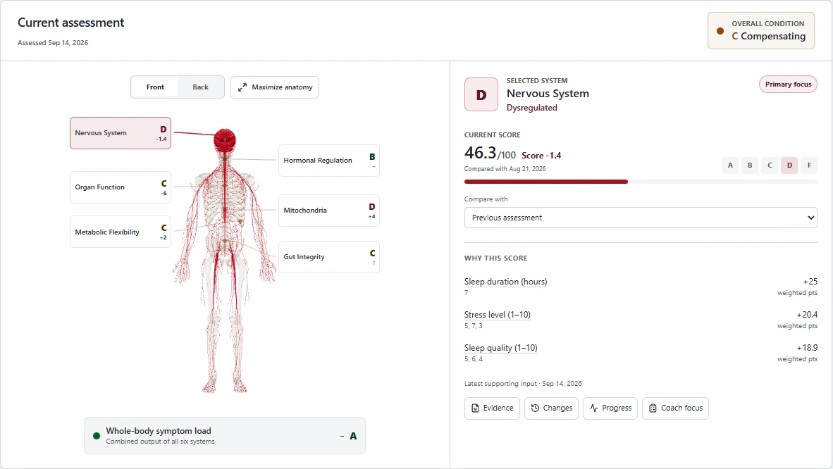 LaunchSite OS current assessment with 3D anatomy, system grades, score comparison and supporting check-in evidence